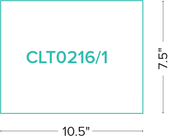 CLT0216-1_02.png