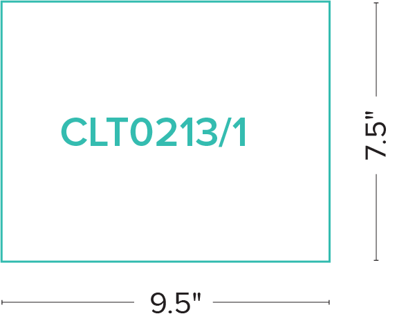CLT0231-1_02.png