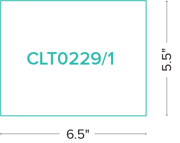 CLT0229-1_02.png