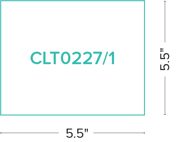 CLT0227-1_02.png