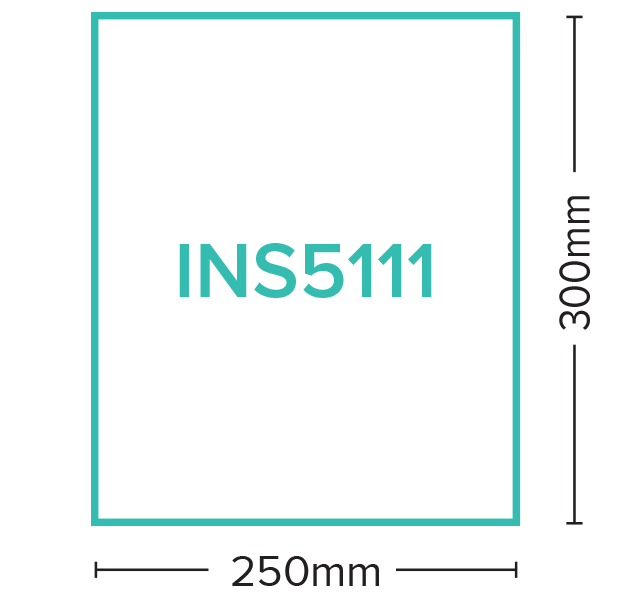 INS5111_02